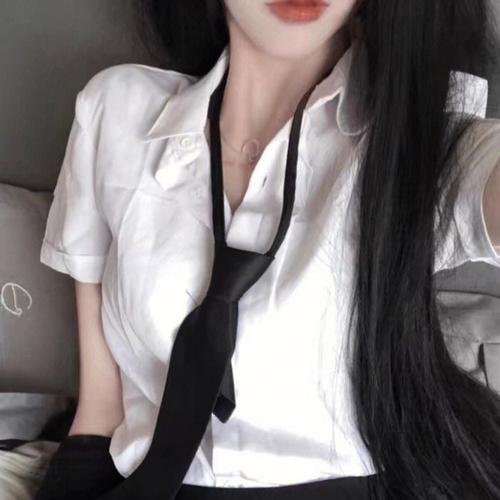 屋顶上的猫